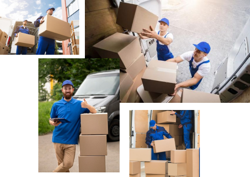 about fm logistics